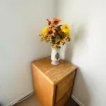 Airport Xpress Guestrooms